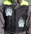 puma front PHOTO
